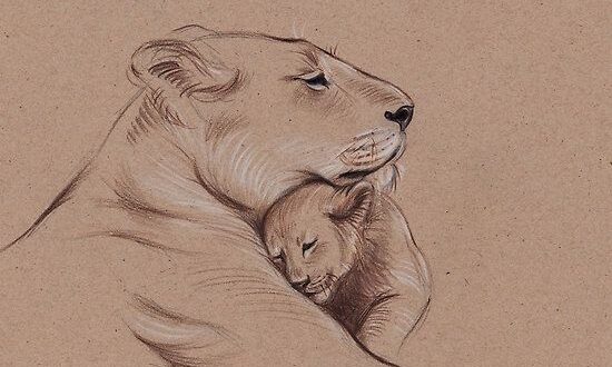 '"A Mother's Pride" Lioness and cub original pencil drawing.' Poster by Rebecca Rees