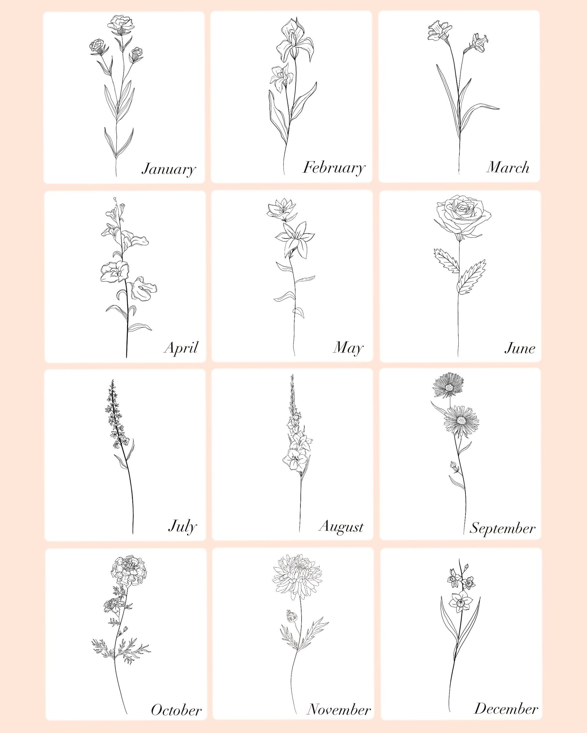 Birth Month Flowers | EKWdigitaldesigns
