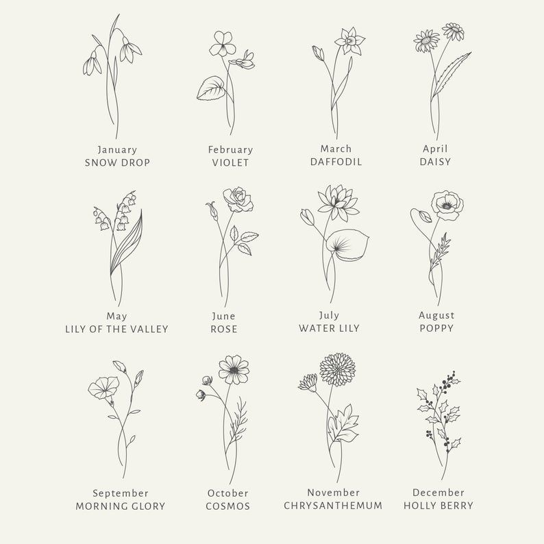 Birth Month Flowers SVG Clipart - Floral Svg Bundle - Botanical Clipart PNG - Summer Svg Files - Hand Drawn Clipart