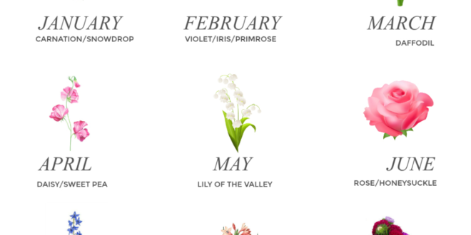 Your Guide To Birth Month Flowers